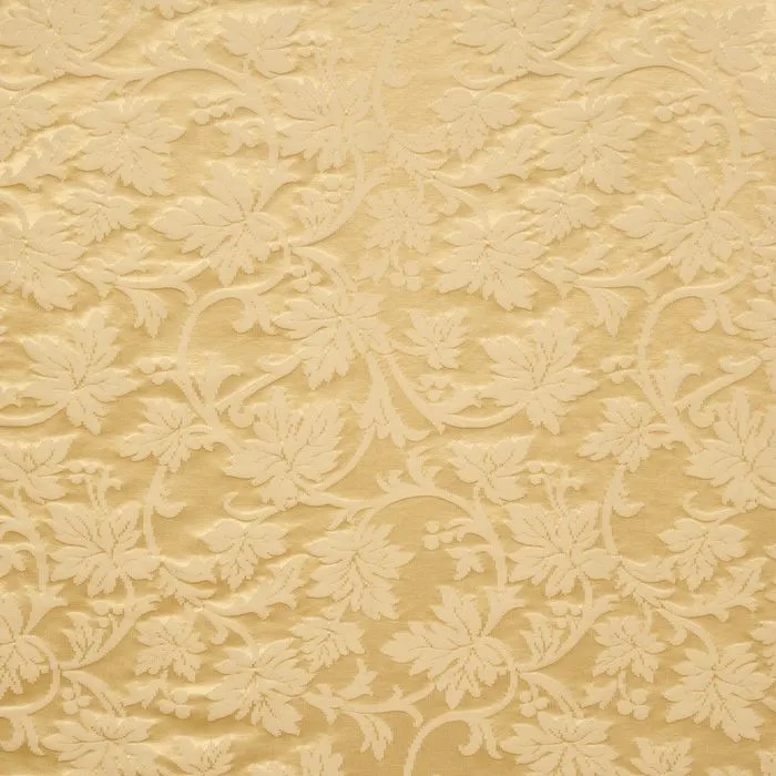 IVY 3122 VANILLE 