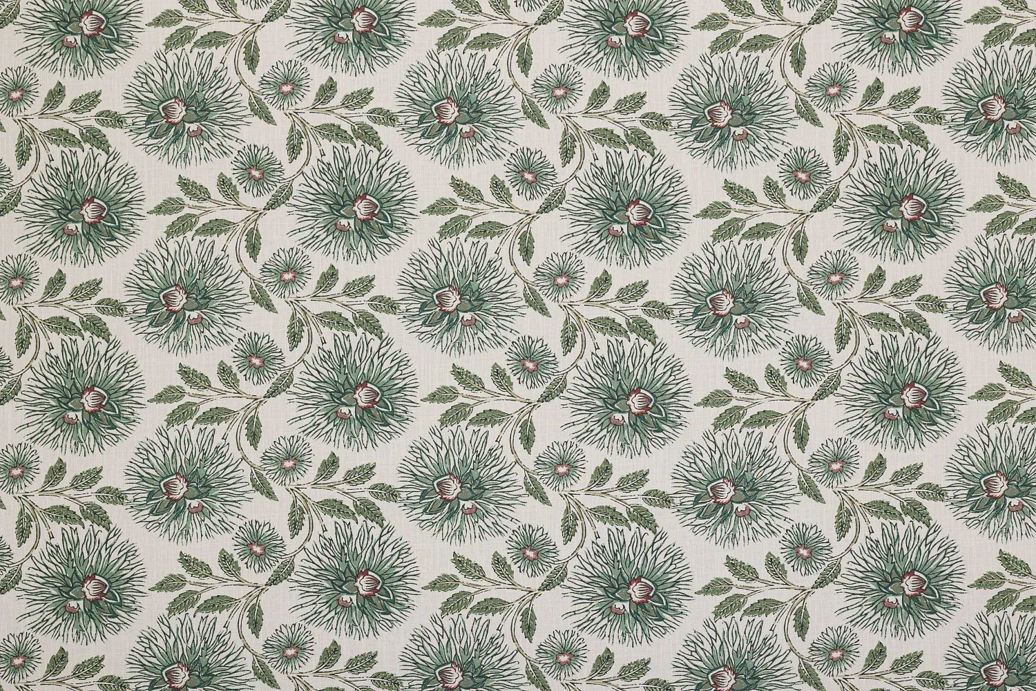 DAHLIA TRAIL JUNIPER 