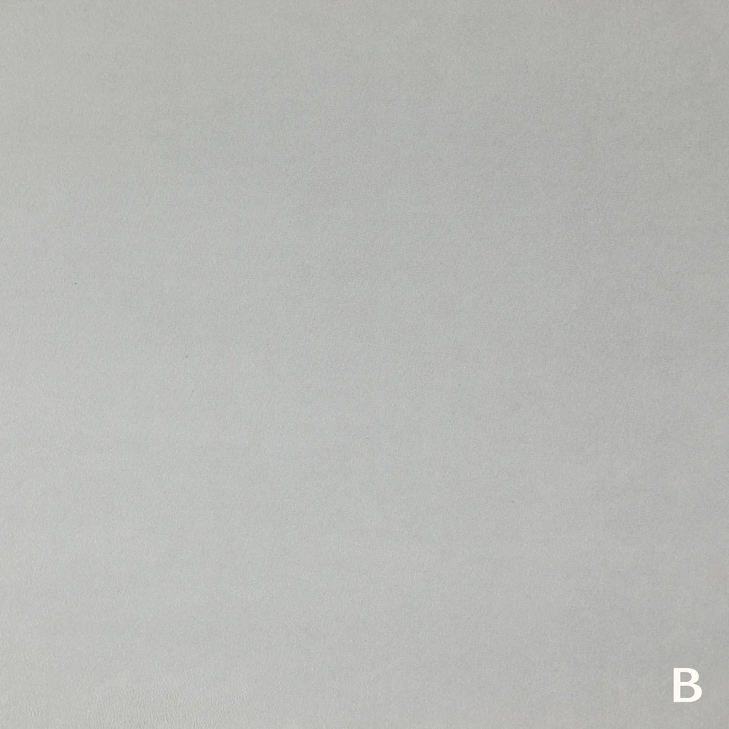 TWICE 01 A GRIFFIN_B SILVER 