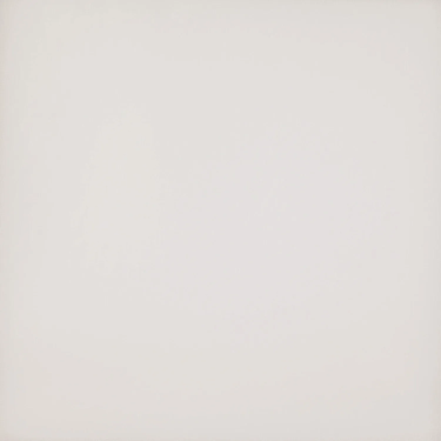 VISION 20 PETAL (BRU) 