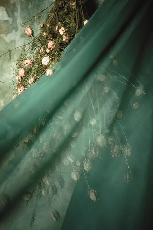 Природа в полутонах