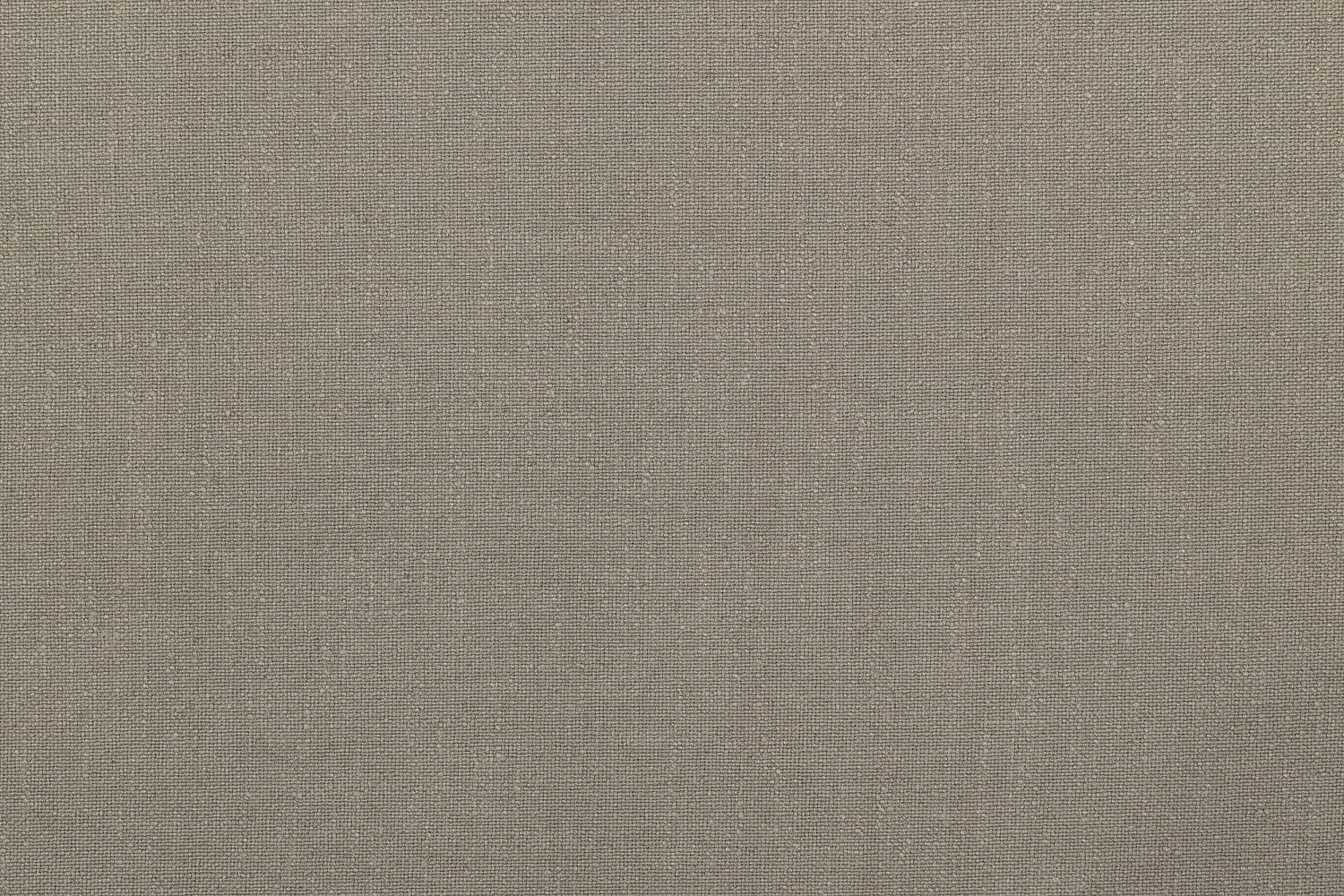 REGINA BEIGE 