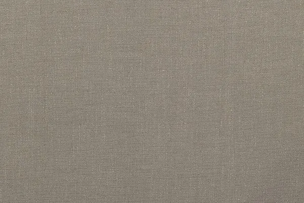 REGINA BEIGE 