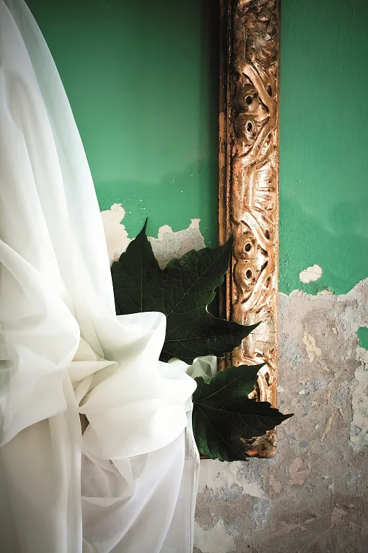 Растения в объятиях текстиля