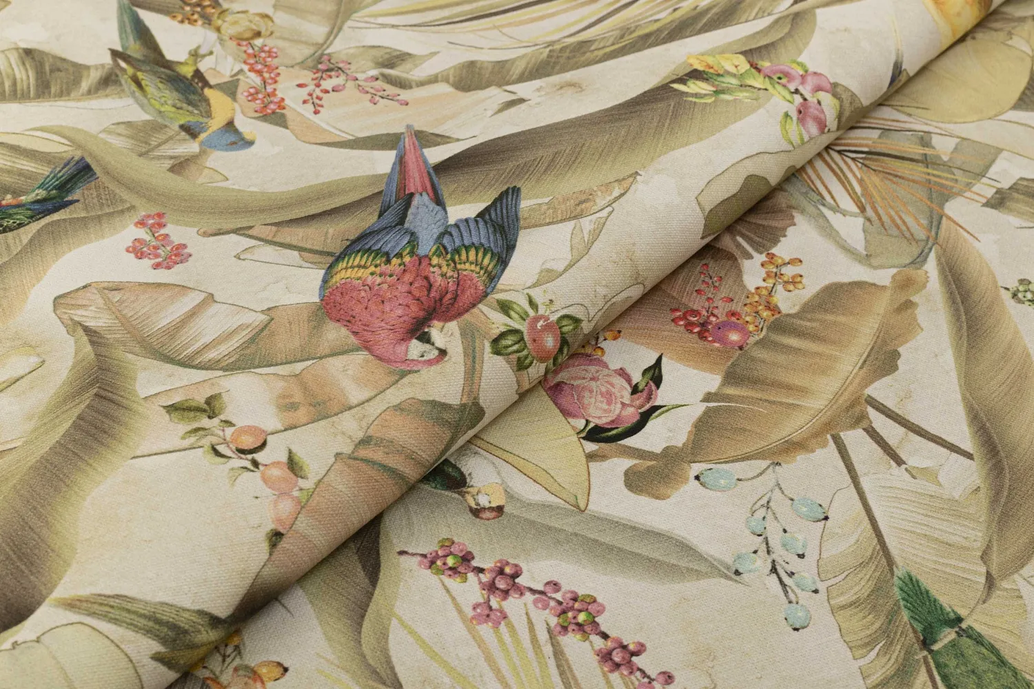 ZAMIFLORA 03 NATURAL 