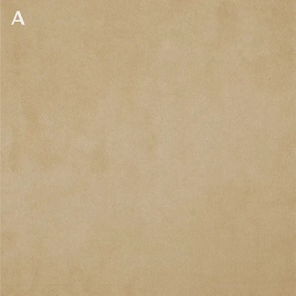 TWICE 12 A ALMOND_B ANTELOPE 