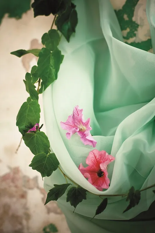 Растения в объятиях текстиля