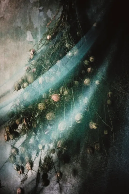 Природа в полутонах