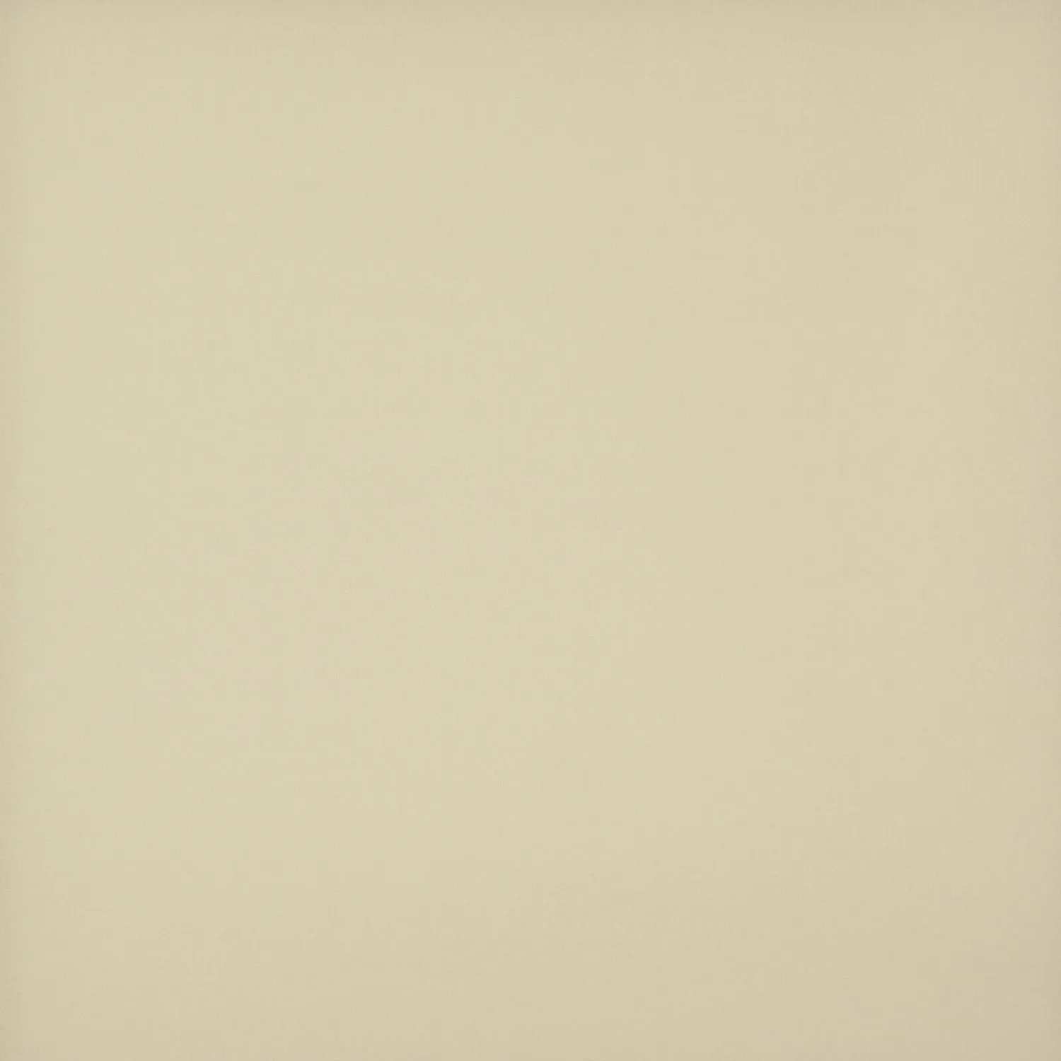 VISION 17 CAMEL (BRU) 