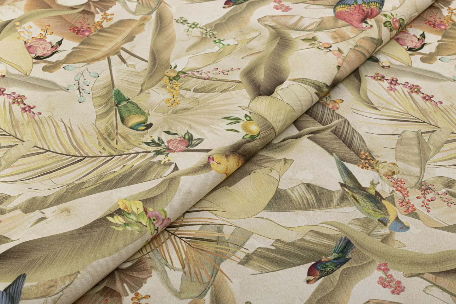 ZAMIFLORA 03 NATURAL 