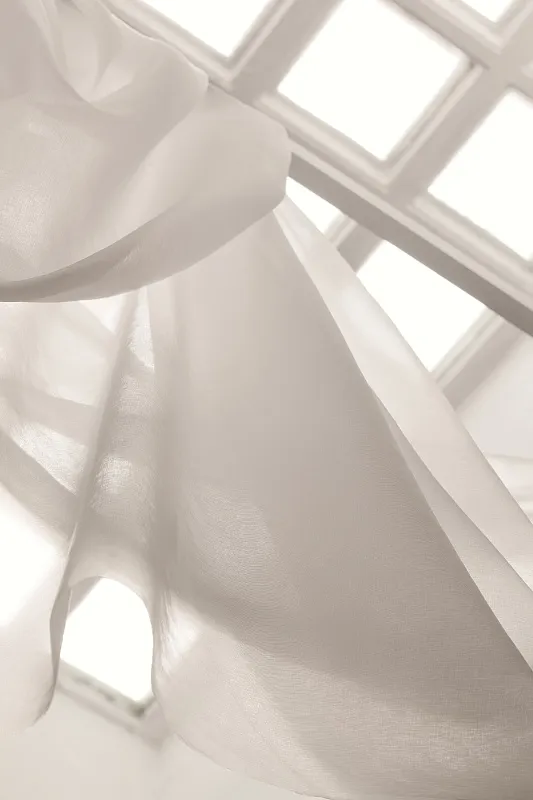 Танец прозрачности и формы