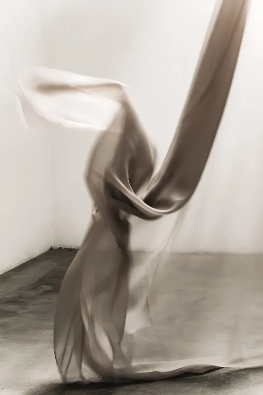 Танец прозрачности и формы