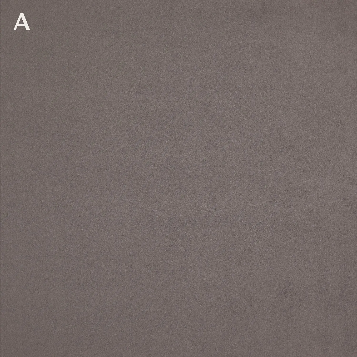 TWICE 15 A GARGOYLE_B CHINCHILLA 