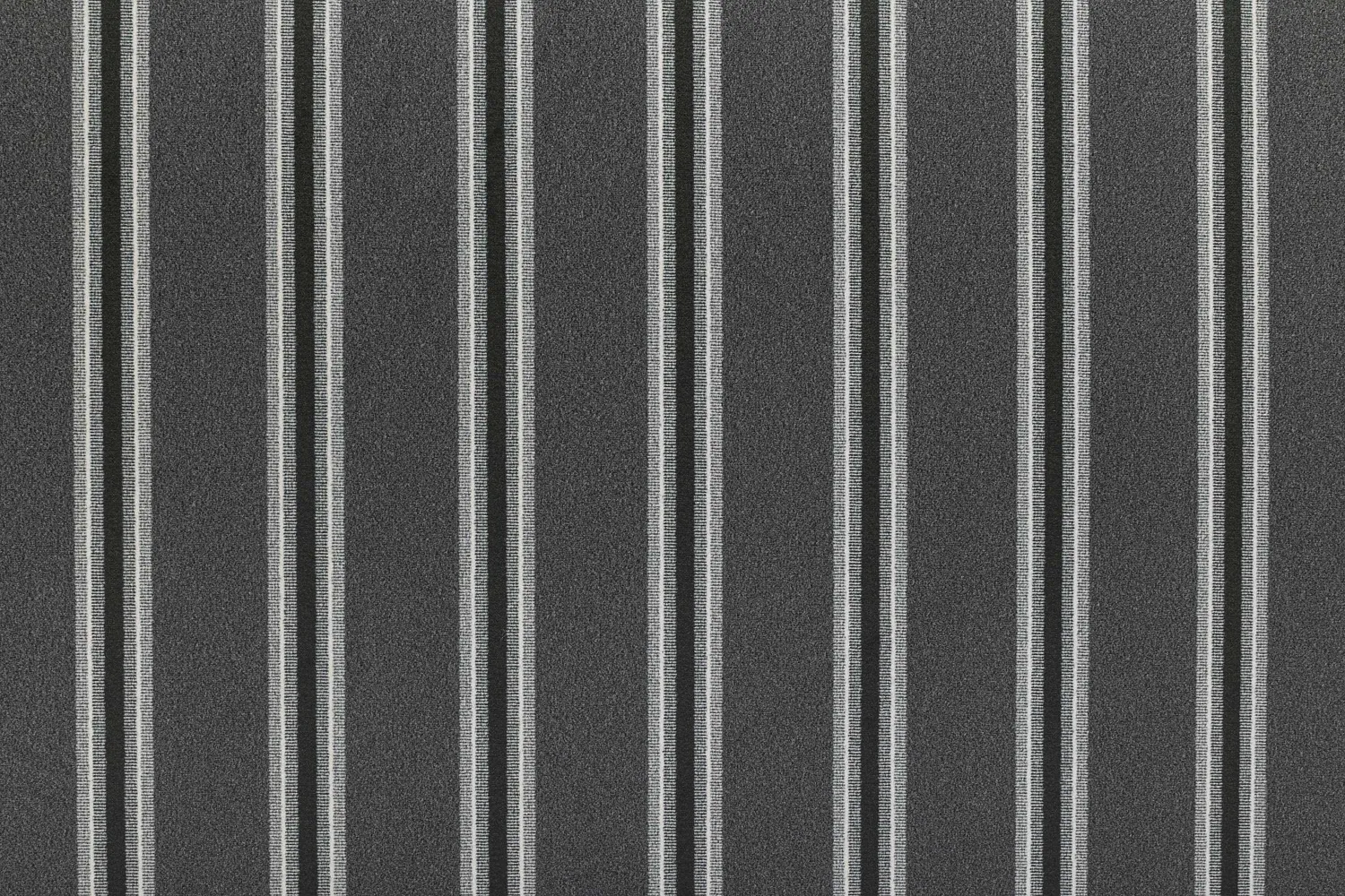 TRACK STRIPE ZEBRA 