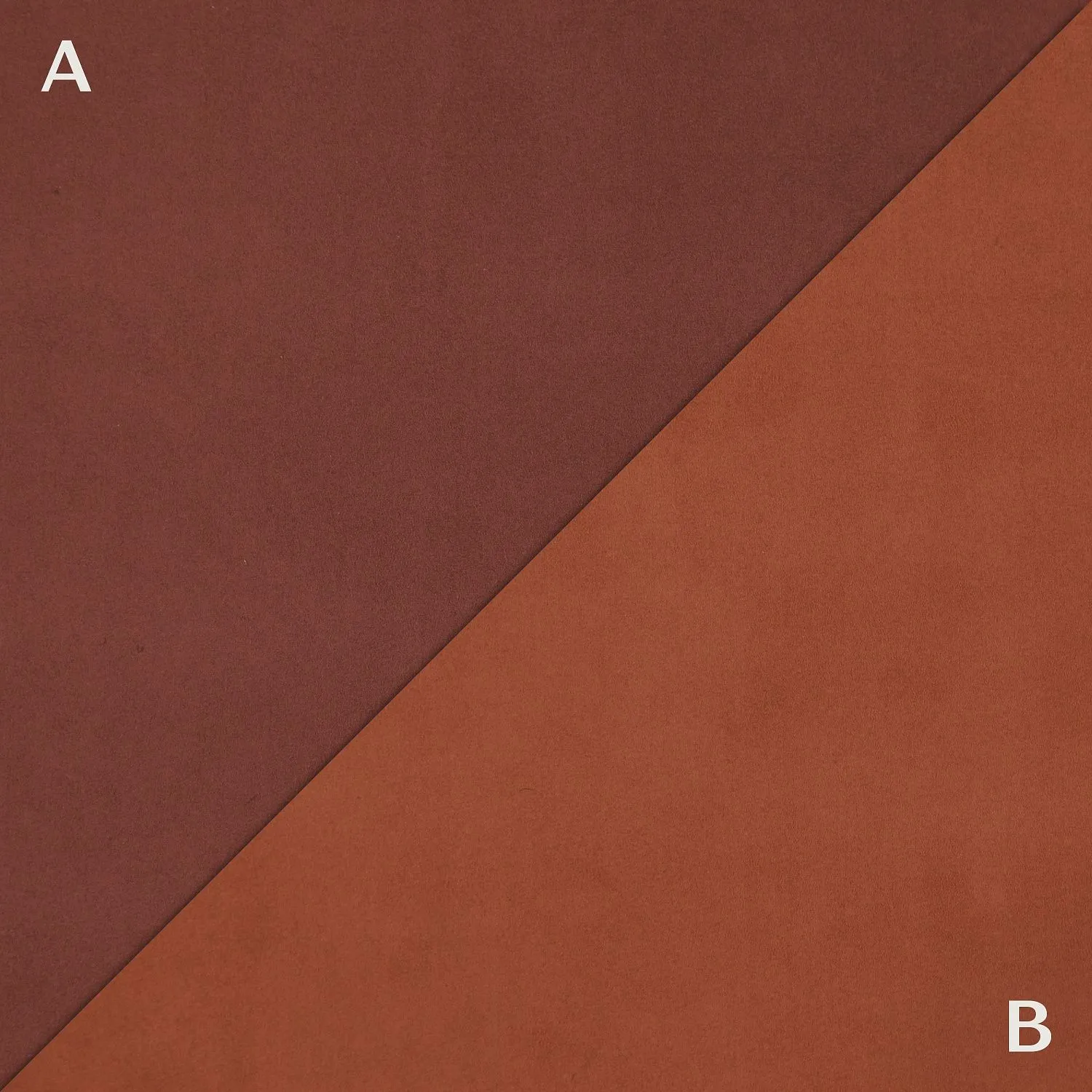 TWICE 20 A PAPRIKA_B CANYON 