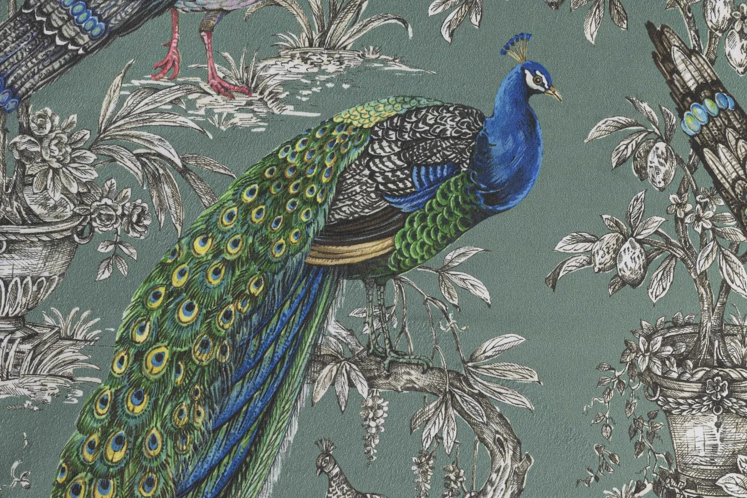 GLASIR 24 AQUAMARINA 