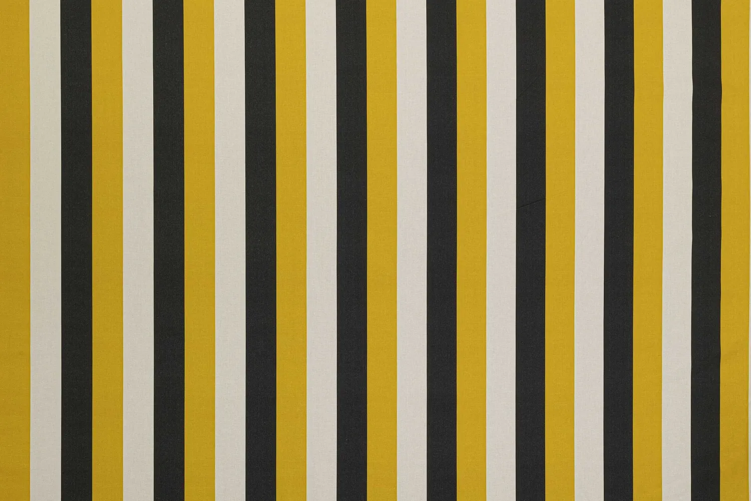 PAMPA STRIPE GA GOLD 