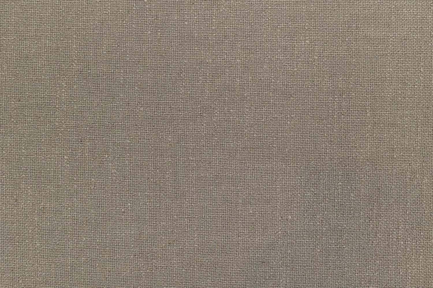 REGINA BEIGE 