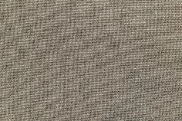 REGINA BEIGE 